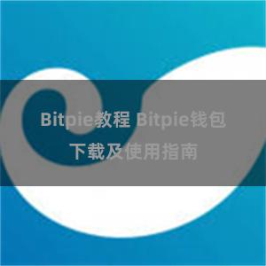 Bitpie教程 Bitpie钱包下载及使用指南