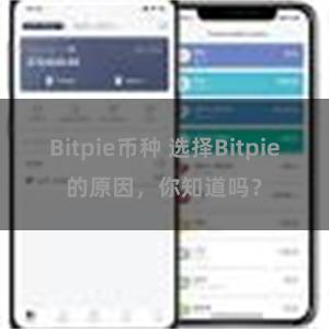 Bitpie币种 选择Bitpie的原因，你知道吗？