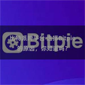 比特派跨平台 选择Bitpie的原因，你知道吗？