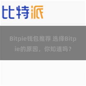 Bitpie钱包推荐 选择Bitpie的原因，你知道吗？