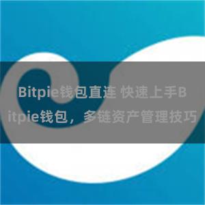 Bitpie钱包直连 快速上手Bitpie钱包，多链资产管理技巧