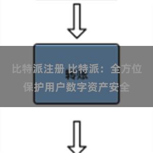 比特派注册 比特派：全方位保护用户数字资产安全