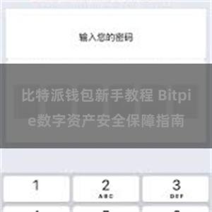 比特派钱包新手教程 Bitpie数字资产安全保障指南