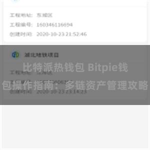 比特派热钱包 Bitpie钱包操作指南：多链资产管理攻略