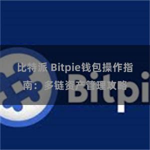 比特派 Bitpie钱包操作指南：多链资产管理攻略