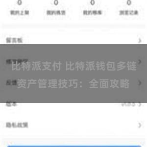 比特派支付 比特派钱包多链资产管理技巧：全面攻略