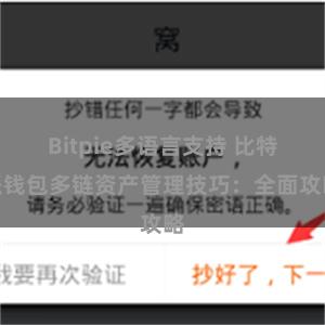 Bitpie多语言支持 比特派钱包多链资产管理技巧：全面攻略