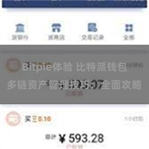 Bitpie体验 比特派钱包多链资产管理技巧：全面攻略