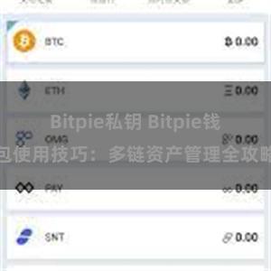 Bitpie私钥 Bitpie钱包使用技巧：多链资产管理全攻略