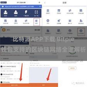 比特派APP下载 Bitpie钱包支持的区块链网络全面解析