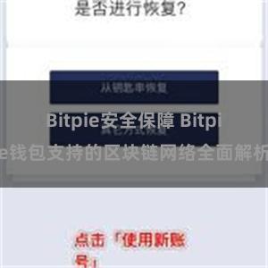 Bitpie安全保障 Bitpie钱包支持的区块链网络全面解析