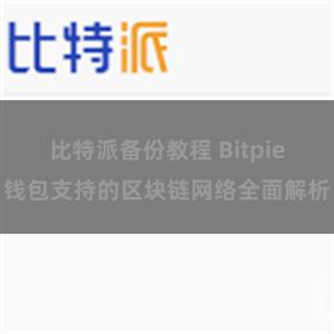 比特派备份教程 Bitpie钱包支持的区块链网络全面解析