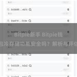 Bitpie新手 Bitpie钱包冷存储功能安全吗？解析与评估