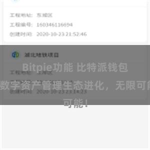 Bitpie功能 比特派钱包：数字资产管理生态进化，无限可能！