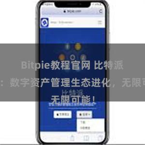 Bitpie教程官网 比特派钱包：数字资产管理生态进化，无限可能！