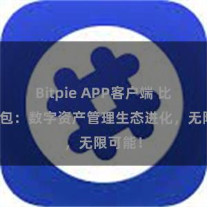 Bitpie APP客户端 比特派钱包：数字资产管理生态进化，无限可能！