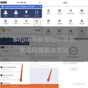 Bitpie币种 Bitpie钱包常见问题解决方法