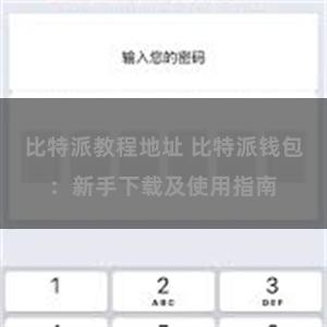 比特派教程地址 比特派钱包：新手下载及使用指南