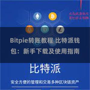 Bitpie转账教程 比特派钱包：新手下载及使用指南