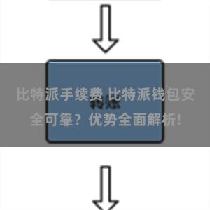 比特派手续费 比特派钱包安全可靠？优势全面解析!