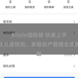 Bitpie国际版 快速上手比特派钱包，多链资产管理全攻略