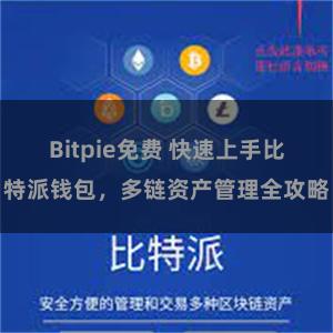 Bitpie免费 快速上手比特派钱包，多链资产管理全攻略