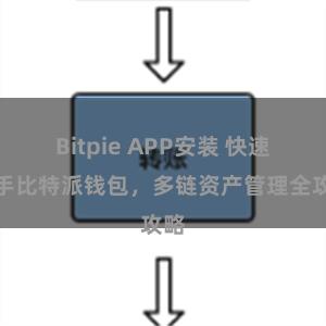 Bitpie APP安装 快速上手比特派钱包，多链资产管理全攻略