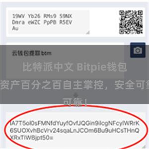 比特派中文 Bitpie钱包：资产百分之百自主掌控，安全可靠！