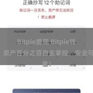 Bitpie提现 Bitpie钱包：资产百分之百自主掌控，安全可靠！