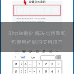 Bitpie地址 解决比特派钱包使用问题的实用技巧