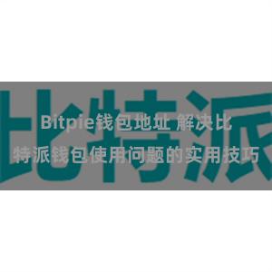 Bitpie钱包地址 解决比特派钱包使用问题的实用技巧