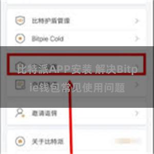 比特派APP安装 解决Bitpie钱包常见使用问题