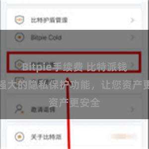 Bitpie手续费 比特派钱包：强大的隐私保护功能，让您资产更安全