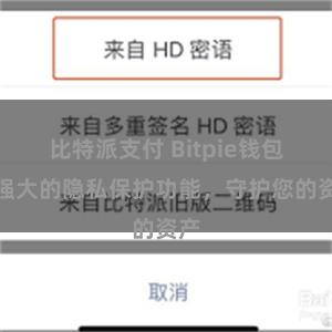 比特派支付 Bitpie钱包：强大的隐私保护功能，守护您的资产