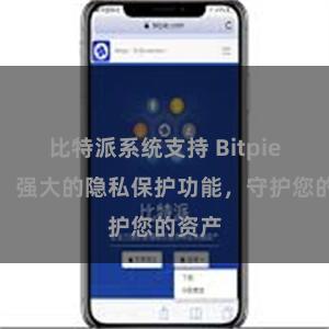 比特派系统支持 Bitpie钱包：强大的隐私保护功能，守护您的资产