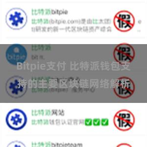 Bitpie支付 比特派钱包支持的主要区块链网络解析