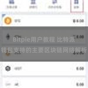 Bitpie用户教程 比特派钱包支持的主要区块链网络解析