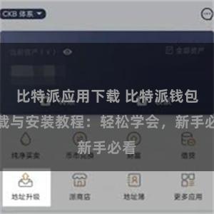 比特派应用下载 比特派钱包下载与安装教程：轻松学会，新手必看