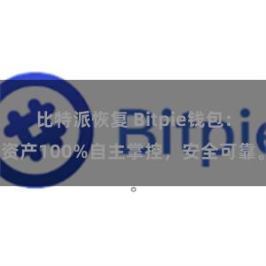 比特派恢复 Bitpie钱包：资产100%自主掌控，安全可靠。