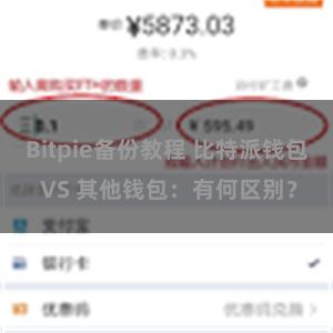 Bitpie备份教程 比特派钱包 VS 其他钱包：有何区别？