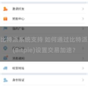 比特派系统支持 如何通过比特派(Bitpie)设置交易加速？