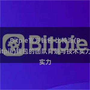 Bitpie官方钱包 比特派(Bitpie)钱包的团队背景与技术实力