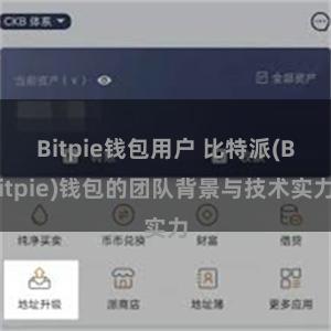 Bitpie钱包用户 比特派(Bitpie)钱包的团队背景与技术实力