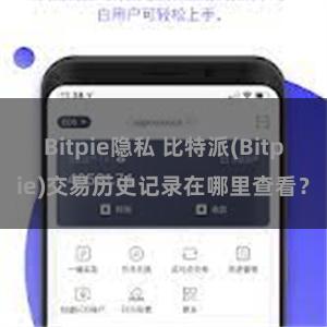 Bitpie隐私 比特派(Bitpie)交易历史记录在哪里查看？