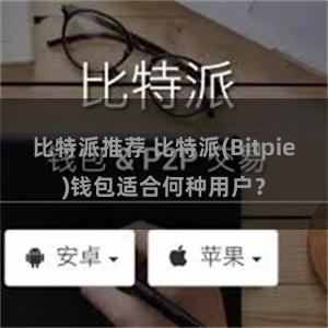 比特派推荐 比特派(Bitpie)钱包适合何种用户？