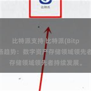 比特派支持 比特派(Bitpie)钱包市场趋势：数字资产存储领域领先者持续发展。