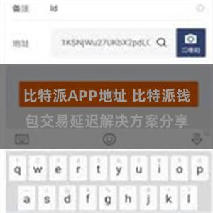比特派APP地址 比特派钱包交易延迟解决方案分享