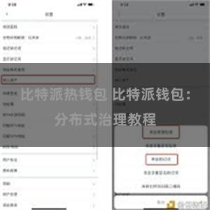 比特派热钱包 比特派钱包：分布式治理教程