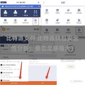 比特派支付 比特派钱包安全性分析：是否足够强大？