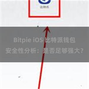 Bitpie iOS 比特派钱包安全性分析：是否足够强大？